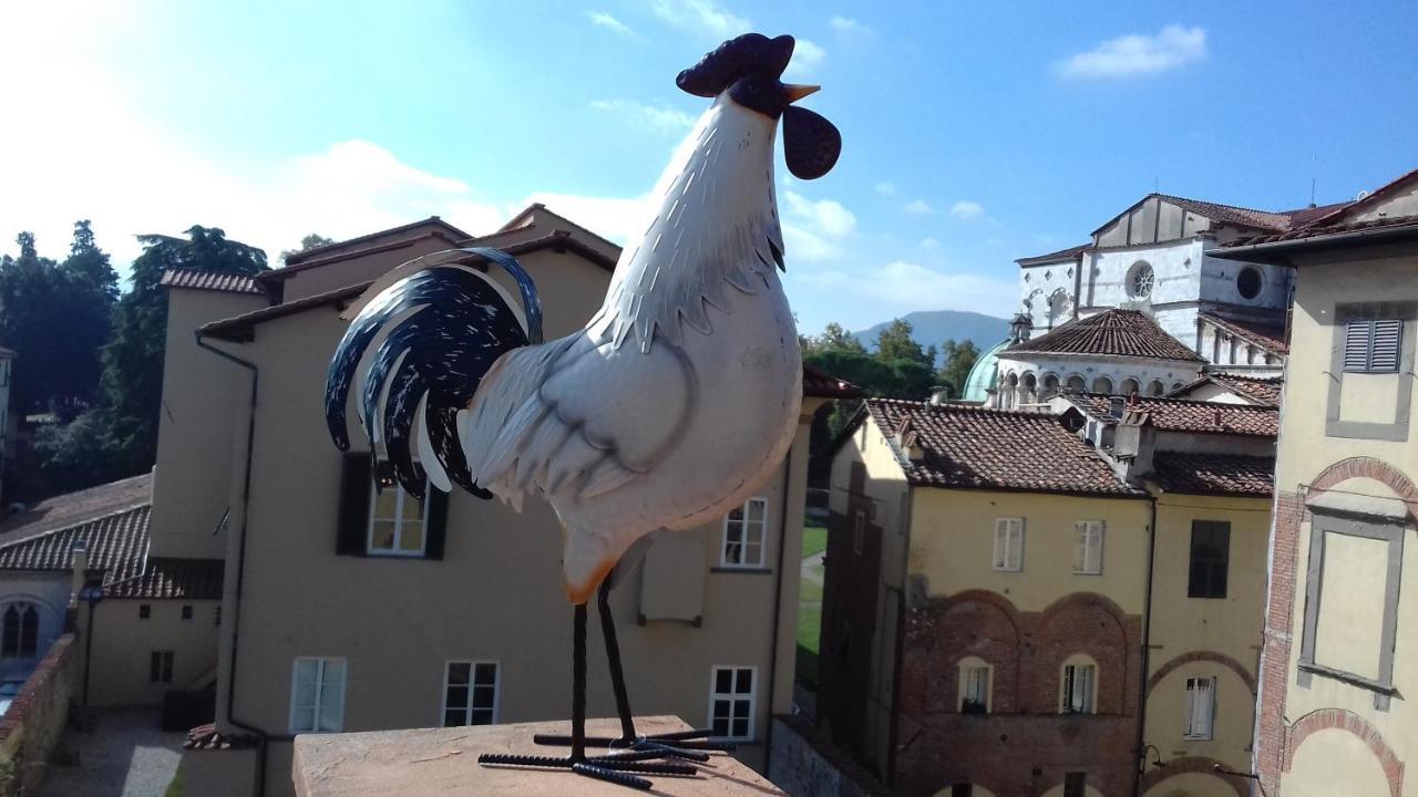 Terrazza Coccode' Spazioso Con Vista Mozzafiato! Лукка Екстер'єр фото
