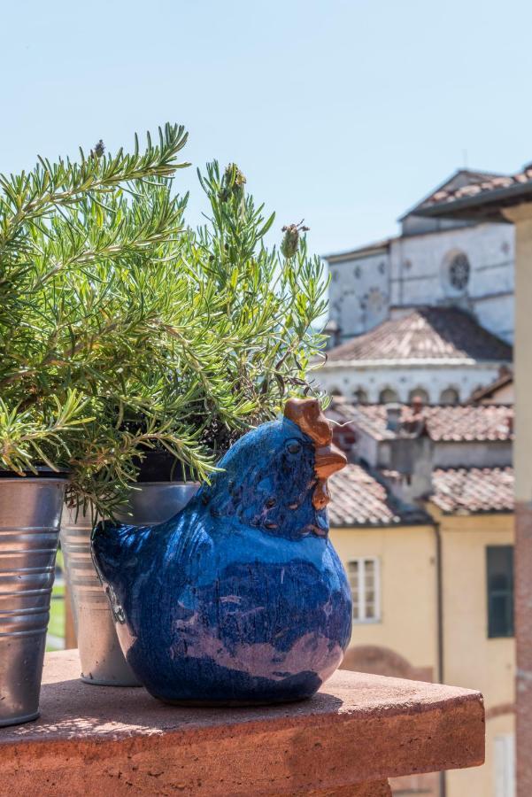 Terrazza Coccode' Spazioso Con Vista Mozzafiato! Лукка Екстер'єр фото
