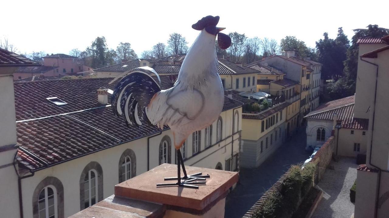 Terrazza Coccode' Spazioso Con Vista Mozzafiato! Лукка Екстер'єр фото